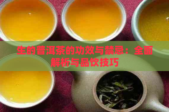 生的普洱茶的功效与禁忌：全面解析与品饮技巧