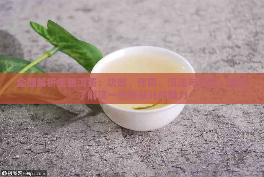 全面解析生普洱茶：功效、作用、泡法与品鉴，助您了解这一独特茶叶的魅力