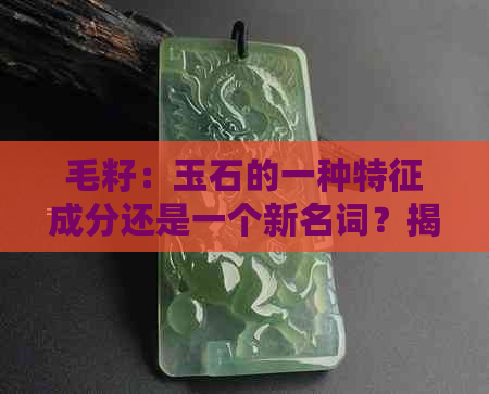 毛籽：玉石的一种特征成分还是一个新名词？揭秘其真正含义与作用