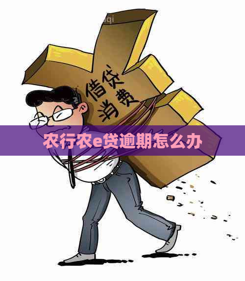 农行农e贷逾期怎么办