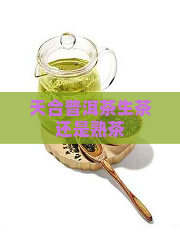 天合普洱茶生茶还是熟茶