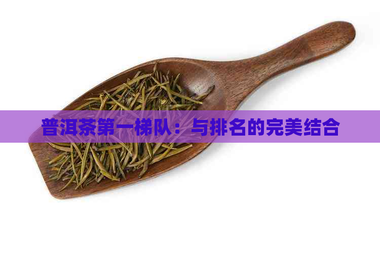 普洱茶之一梯队：与排名的完美结合