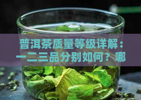 普洱茶质量等级详解：一二三品分别如何？哪个更优质？购买时如何选择？