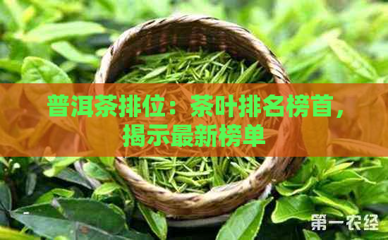 普洱茶排位：茶叶排名榜首，揭示最新榜单