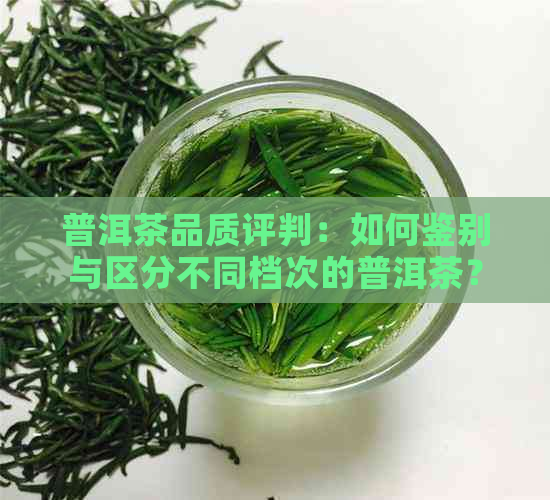 普洱茶品质评判：如何鉴别与区分不同档次的普洱茶？