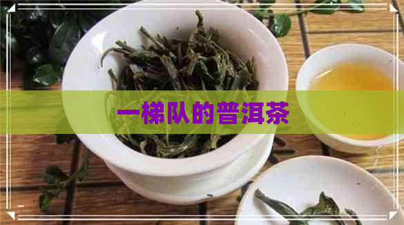 一梯队的普洱茶