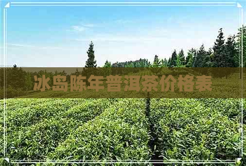 冰岛陈年普洱茶价格表