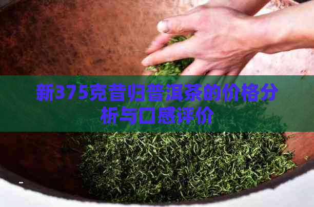 新375克昔归普洱茶的价格分析与口感评价