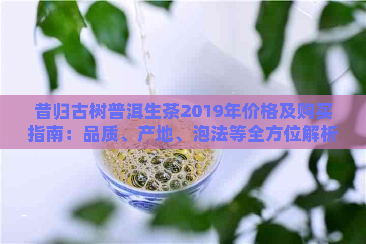 昔归古树普洱生茶2019年价格及购买指南：品质、产地、泡法等全方位解析