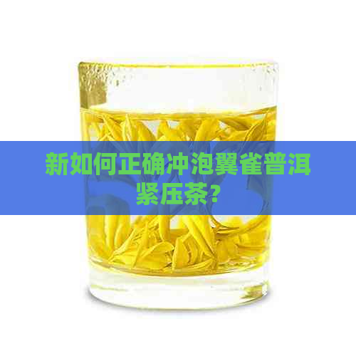 新如何正确冲泡翼雀普洱紧压茶？