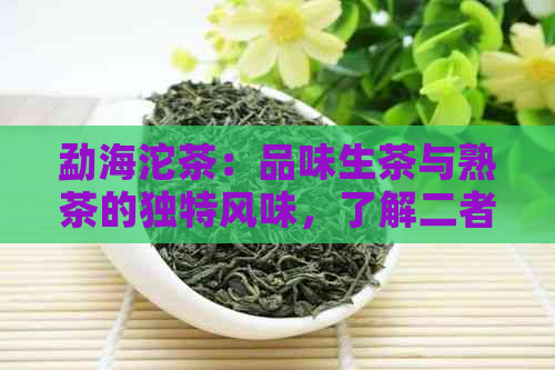 勐海沱茶：品味生茶与熟茶的独特风味，了解二者之间的差异与选择