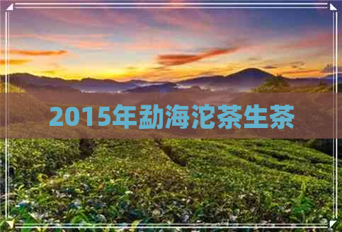 2015年勐海沱茶生茶