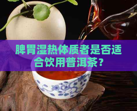 脾胃湿热体质者是否适合饮用普洱茶？