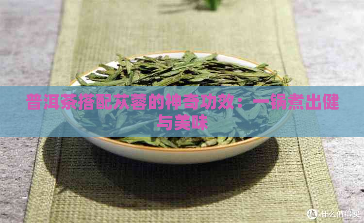 普洱茶搭配苁蓉的神奇功效：一锅煮出健与美味