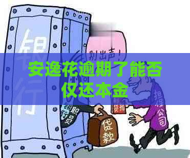 安逸花逾期了能否仅还本金