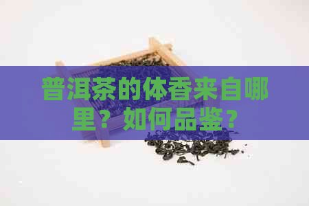 普洱茶的体香来自哪里？如何品鉴？