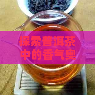 探索普洱茶中的香气奥秘：从源头到杯中的魅力