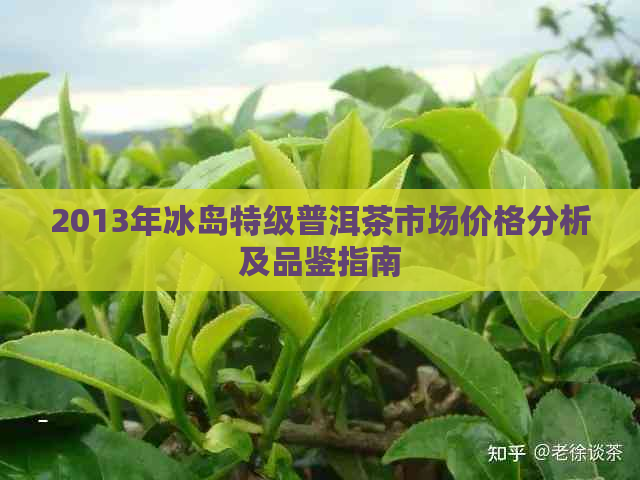 2013年冰岛特级普洱茶市场价格分析及品鉴指南