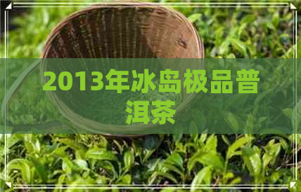 2013年冰岛极品普洱茶