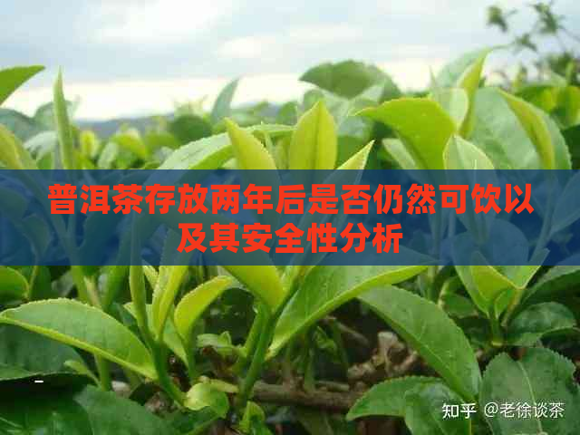 普洱茶存放两年后是否仍然可饮以及其安全性分析