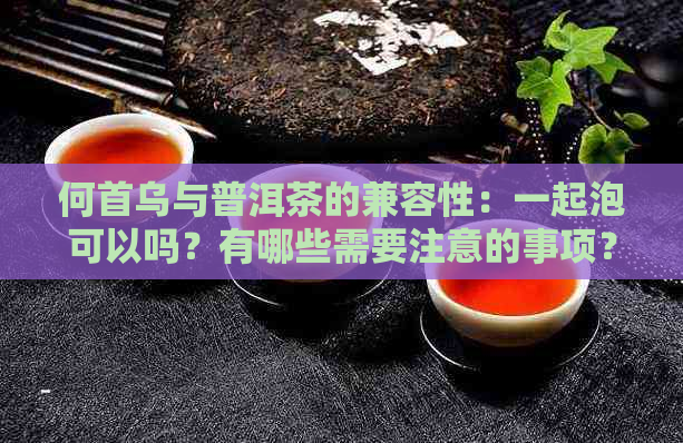 何首乌与普洱茶的兼容性：一起泡可以吗？有哪些需要注意的事项？