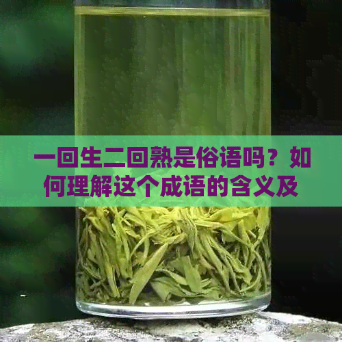 一回生二回熟是俗语吗？如何理解这个成语的含义及其在生活中的应用？