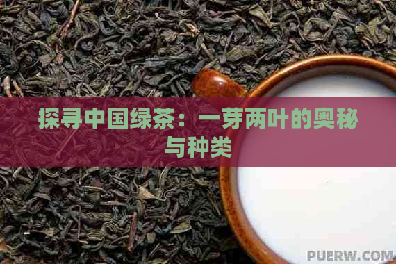 探寻中国绿茶：一芽两叶的奥秘与种类