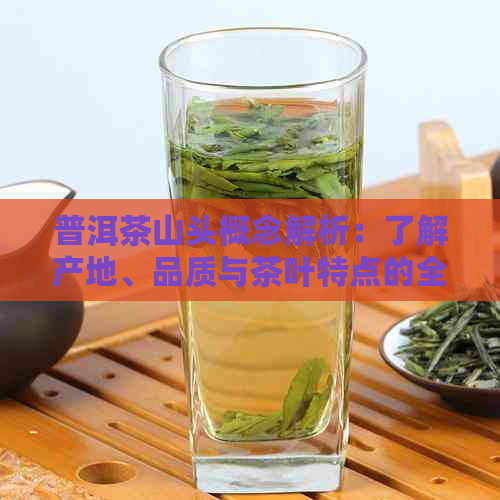 普洱茶山头概念解析：了解产地、品质与茶叶特点的全攻略