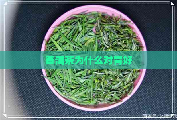 普洱茶为什么对胃好