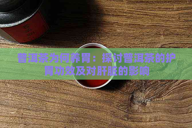 普洱茶为何养胃：探讨普洱茶的护胃功效及对肝脏的影响