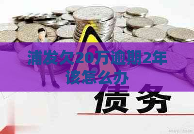 浦发欠20万逾期2年该怎么办