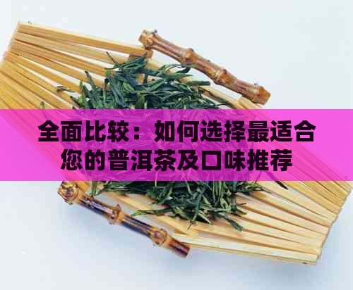 全面比较：如何选择最适合您的普洱茶及口味推荐