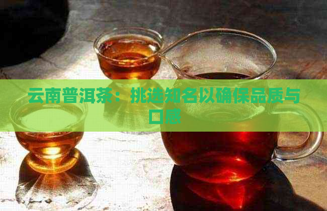 云南普洱茶：挑选知名以确保品质与口感