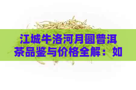 江城牛洛河月圆普洱茶品鉴与价格全解：如何挑选优质普洱茶并了解市场行情？