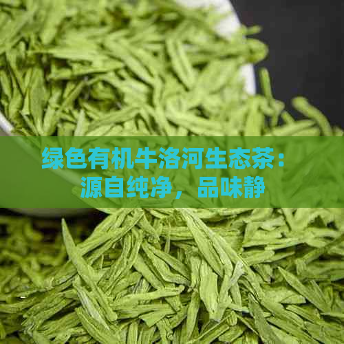 绿色有机牛洛河生态茶： 源自纯净，品味静