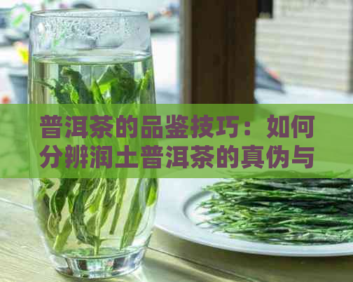 普洱茶的品鉴技巧：如何分辨润土普洱茶的真伪与口感？