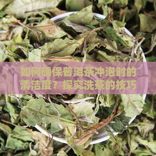 如何确保普洱茶冲泡时的清洁度？探究洗茶的技巧与方法