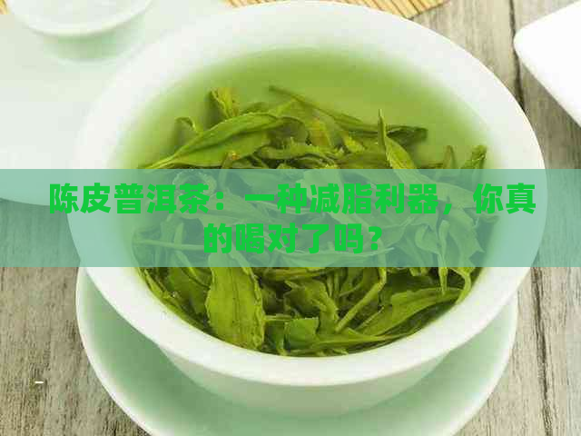 陈皮普洱茶：一种减脂利器，你真的喝对了吗？