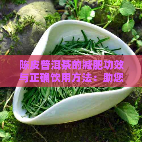 陈皮普洱茶的减肥功效与正确饮用方法：助您轻松瘦身