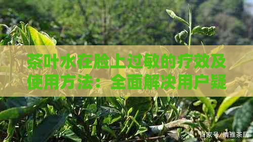 茶叶水在脸上过敏的疗效及使用方法：全面解决用户疑问