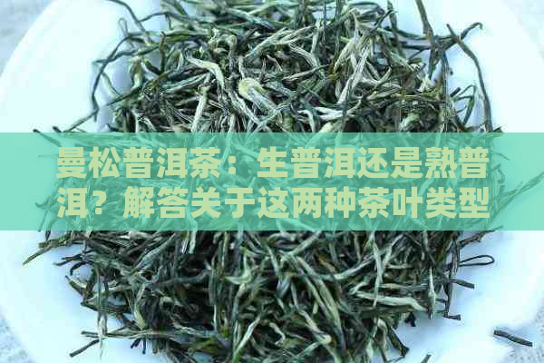 曼松普洱茶：生普洱还是熟普洱？解答关于这两种茶叶类型的全面信息