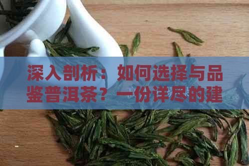 深入剖析：如何选择与品鉴普洱茶？一份详尽的建议