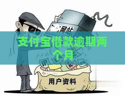 支付宝借款逾期两个月