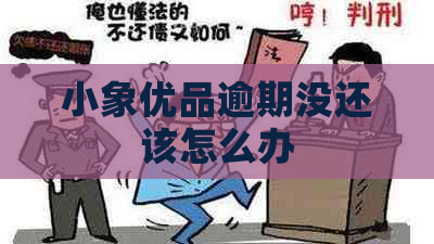 小象有品逾期没还该怎么办