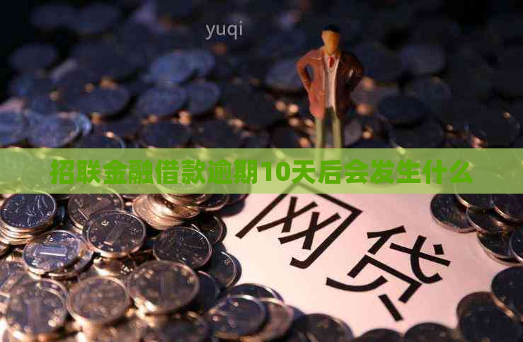 招联金融借款逾期10天后会发生什么