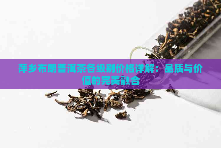 萍乡布朗普洱茶各级别价格详解：品质与价值的完美融合