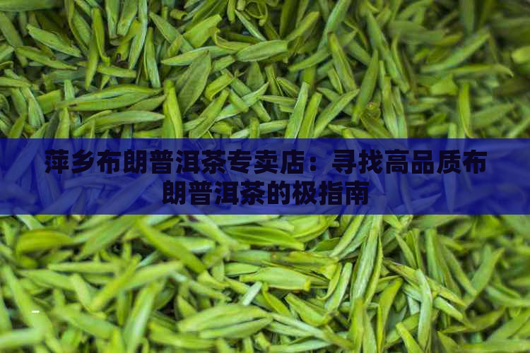 萍乡布朗普洱茶专卖店：寻找高品质布朗普洱茶的极指南