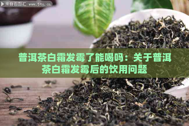 普洱茶白霜发霉了能喝吗：关于普洱茶白霜发霉后的饮用问题