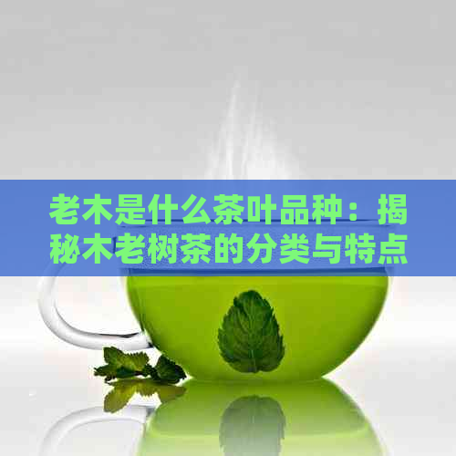 老木是什么茶叶品种：揭秘木老树茶的分类与特点