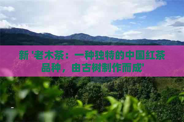 新 '老木茶：一种独特的中国红茶品种，由古树制作而成'